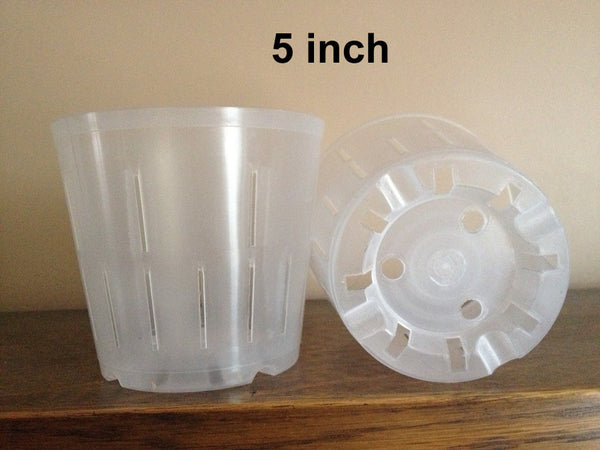 5 inch pot – Ravenvision Orchid Supplies