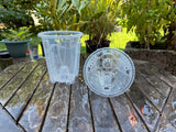 5.5inch Tall Vented Clear Pot