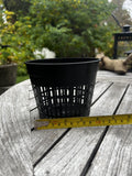 5 inch Black Mesh Pot
