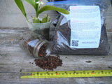 Orchiata™ bark - percision (extra fine) - Ravenvision Orchid Supplies - 1