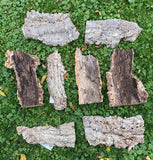 Dalle de liège - Moyen 