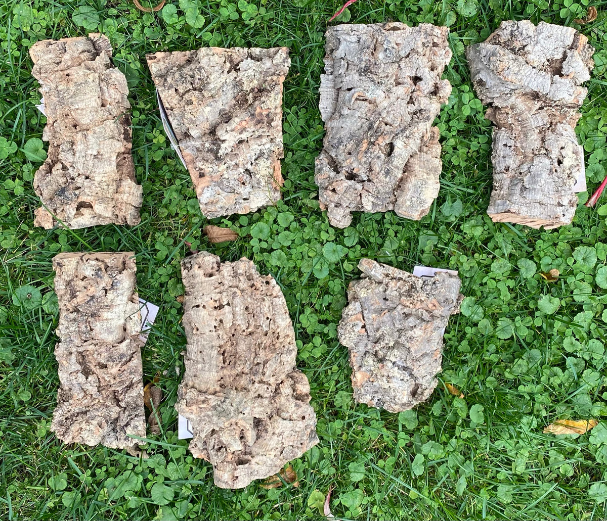 Cork Slab - Small – Ravenvision Orchid Supplies