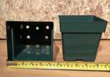 5.25 inch  green square pot