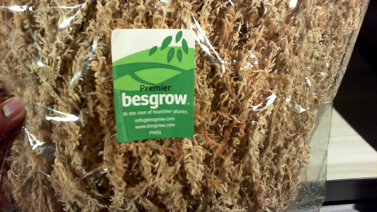 New Zealand Premium Long Strand Sphagnum – Ravenvision Orchid Supplies
